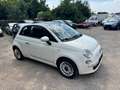 Fiat 500 1.2 Tüv+Au neu Weiß - thumbnail 2