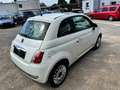 Fiat 500 1.2 Tüv+Au neu Weiß - thumbnail 3