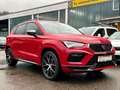 CUPRA Ateca AUT. 4Drive,PANO,ACC,RIEGER,19" Rot - thumbnail 2