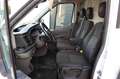 Ford Transit Kasten 290 L2 Trend KLIMA AHK 3-SITZ Blanc - thumbnail 7