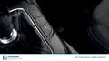 Ford Focus 5 Porte 1.5 EcoBlue Blue - thumbnail 20