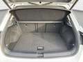 Volkswagen T-Roc 1.5 TSI Style Matrix*AHK*RFK*ACC*DAB+ Weiß - thumbnail 11