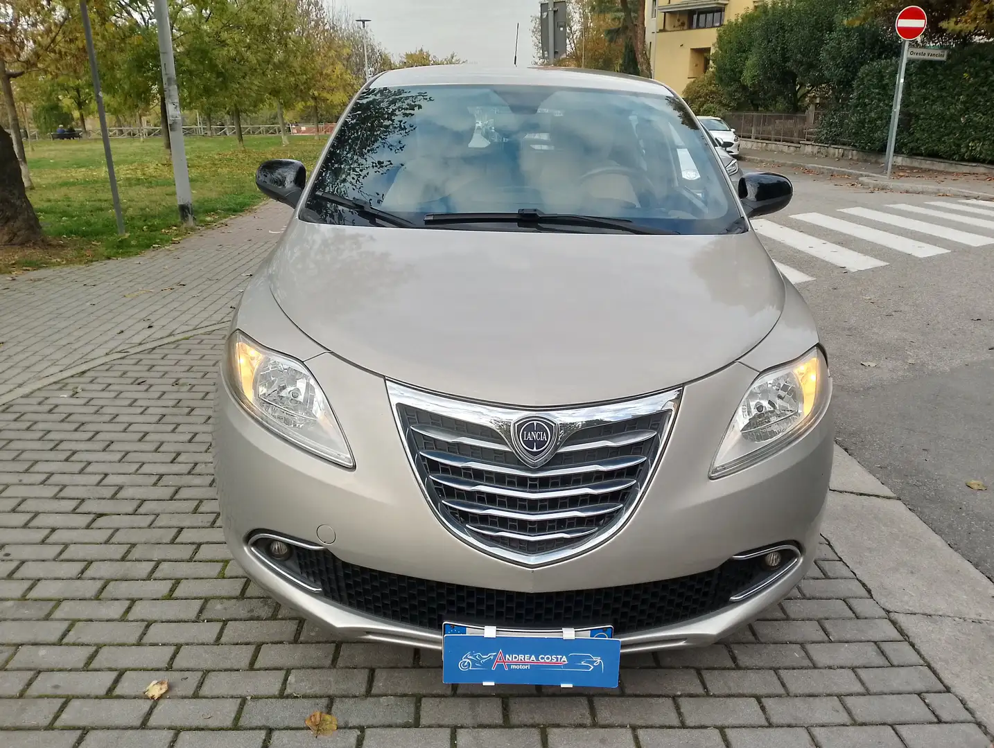 Lancia Ypsilon Ypsilon 1.2 8v Platinum s Grigio - 2