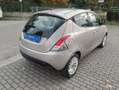Lancia Ypsilon Ypsilon 1.2 8v Platinum s Grigio - thumbnail 4