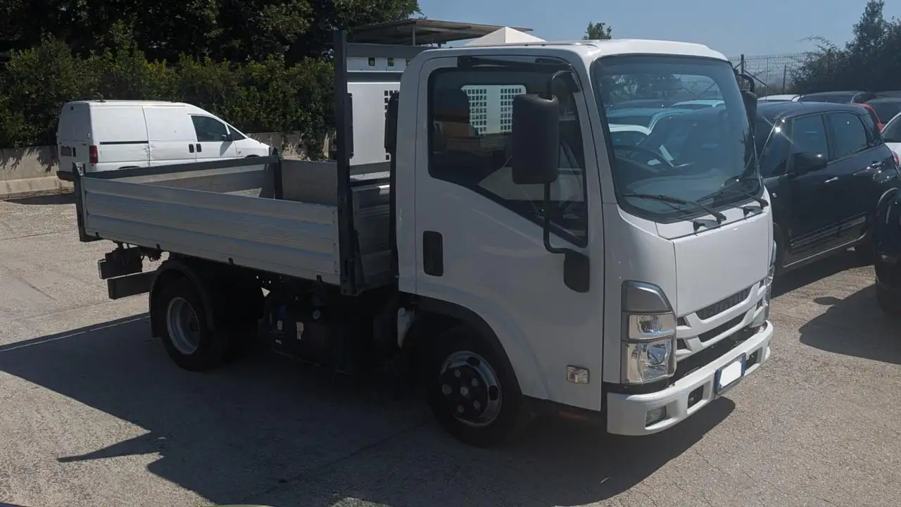 Isuzu Others 2023
