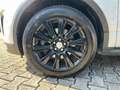 Land Rover Range Rover Evoque 2.0 eD4 5p. SE Bianco - thumbnail 7