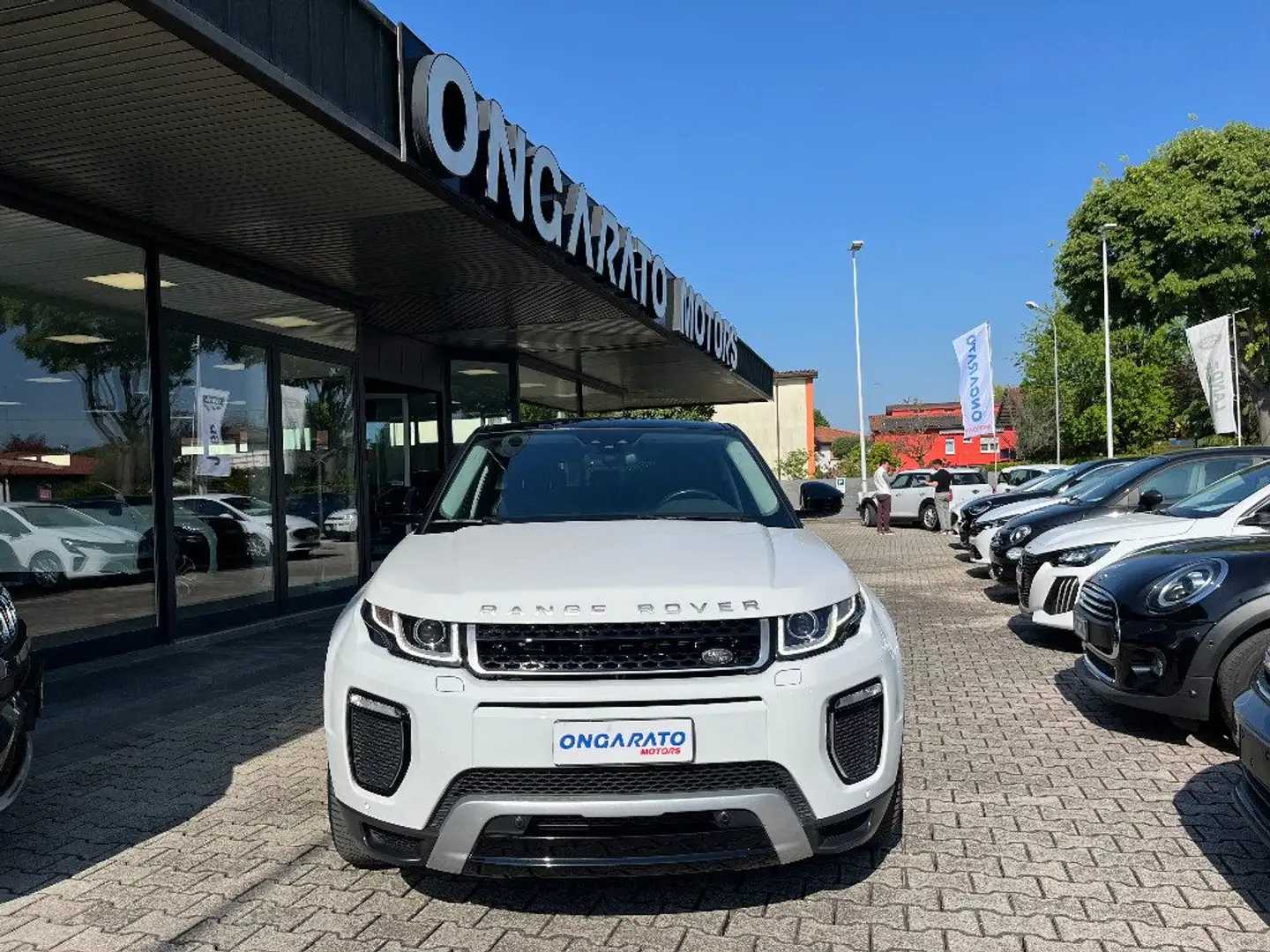 Land Rover Range Rover Evoque 2.0 eD4 5p. SE Bianco - 2