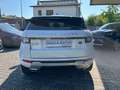Land Rover Range Rover Evoque 2.0 eD4 5p. SE Bianco - thumbnail 6