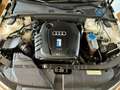 Audi A4 A4 Avant 2.0 tdi S-Line 143cv Bianco - thumbnail 15