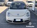 Volkswagen New Beetle 1.9 TDI 105CV Cabrio Unicoproprietario Beige - thumbnail 3