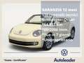 Volkswagen New Beetle 1.9 TDI 105CV Cabrio Unicoproprietario Beige - thumbnail 1