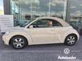 Volkswagen New Beetle 1.9 TDI 105CV Cabrio Unicoproprietario Beige - thumbnail 7