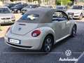 Volkswagen New Beetle 1.9 TDI 105CV Cabrio Unicoproprietario Beige - thumbnail 9