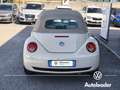 Volkswagen New Beetle 1.9 TDI 105CV Cabrio Unicoproprietario Beige - thumbnail 6