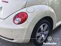Volkswagen New Beetle 1.9 TDI 105CV Cabrio Unicoproprietario Beige - thumbnail 8