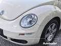 Volkswagen New Beetle 1.9 TDI 105CV Cabrio Unicoproprietario Beige - thumbnail 2