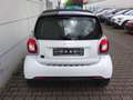 smart forTwo electric drive EQ Schnelllader 22kw DAB Shz Tmat Argento - thumbnail 10