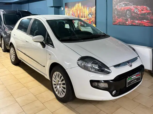 Fiat Punto Evo view 4