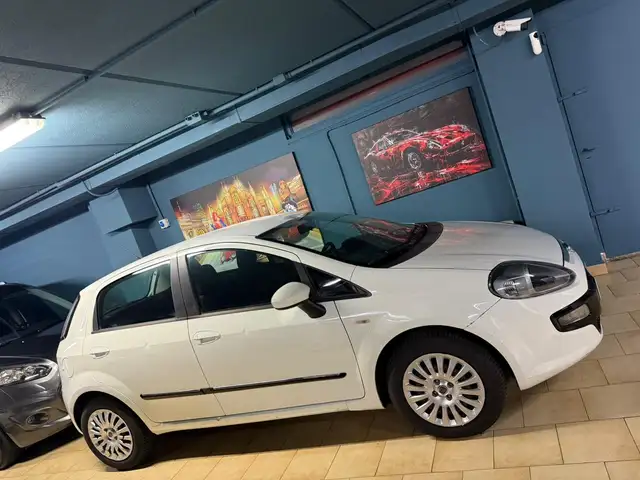 Fiat Punto Evo view 2