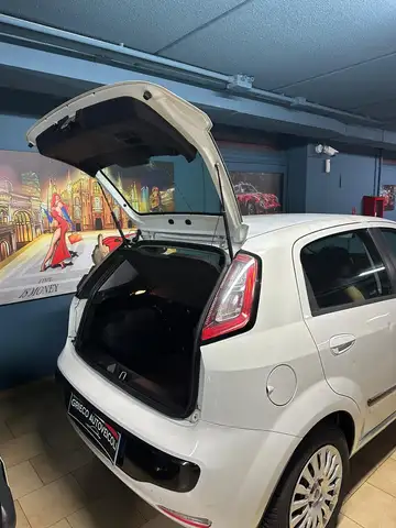 Fiat Punto Evo view 6