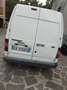 Ford Transit Connect Blanco - thumbnail 5