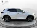 Lexus NX 300 2ª serie Plug-in 4WD Premium Blanc - thumbnail 15