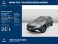 Skoda Superb Combi 2.0TDI DSG Ambition AHK Navi Standh Grau - thumbnail 2