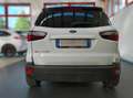 Ford EcoSport 125 cv Active-FULL OPTIONAL Bianco - thumbnail 4