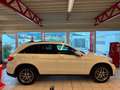Mercedes-Benz GLC 250 GLC 250 d 4Matic AMG-Line Panorama Weiß - thumbnail 11