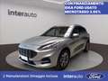 Ford Kuga 2.5 phev ST-Line X 2wd 225cv cvt Gris - thumbnail 1