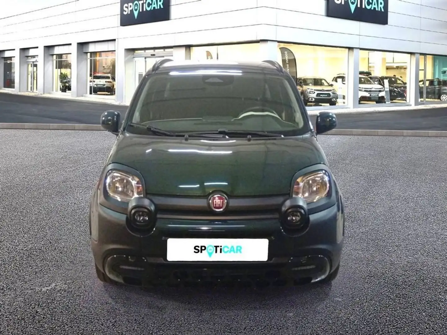 Fiat Panda 1.0 Hybrid 51kW (70cv) Pandina Verde - 2