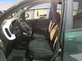 Fiat Panda 1.0 Hybrid 51kW (70cv) Pandina Verde - thumbnail 11