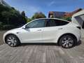 Tesla Model Y Model Y Maximale Reichweite Dual Motor AWD Weiß - thumbnail 4