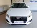 Audi Q2 advanced 30 TFSI +AHK+Matrix-LED+Keyless Білий - thumbnail 2