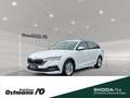 Skoda Octavia Combi Ambition TDI DSG *SHZ vo*NAVI* Blanc - thumbnail 1
