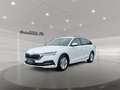 Skoda Octavia Combi Ambition TDI DSG *SHZ vo*NAVI* Blanc - thumbnail 2