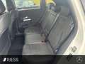 Mercedes-Benz B 200 d AMG+AHK+PANO+MULTIBEAM+360°+DISTRONIC+ Wit - thumbnail 4