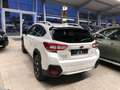 Subaru XV Comfort Weiß - thumbnail 3