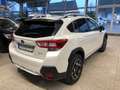Subaru XV Comfort Weiß - thumbnail 6