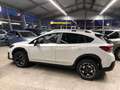 Subaru XV Comfort Weiß - thumbnail 5