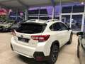 Subaru XV Comfort Weiß - thumbnail 2