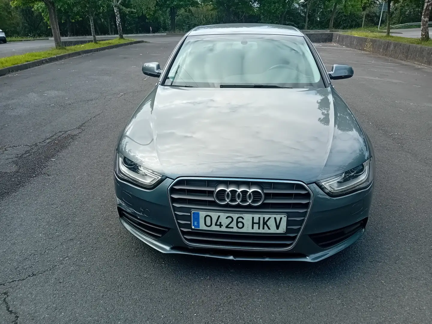 Audi A4 A4 2.7TDI Multitronic DPF Gris - 2