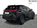 Lexus NX 350h Executive Line + HUD Negro - thumbnail 15