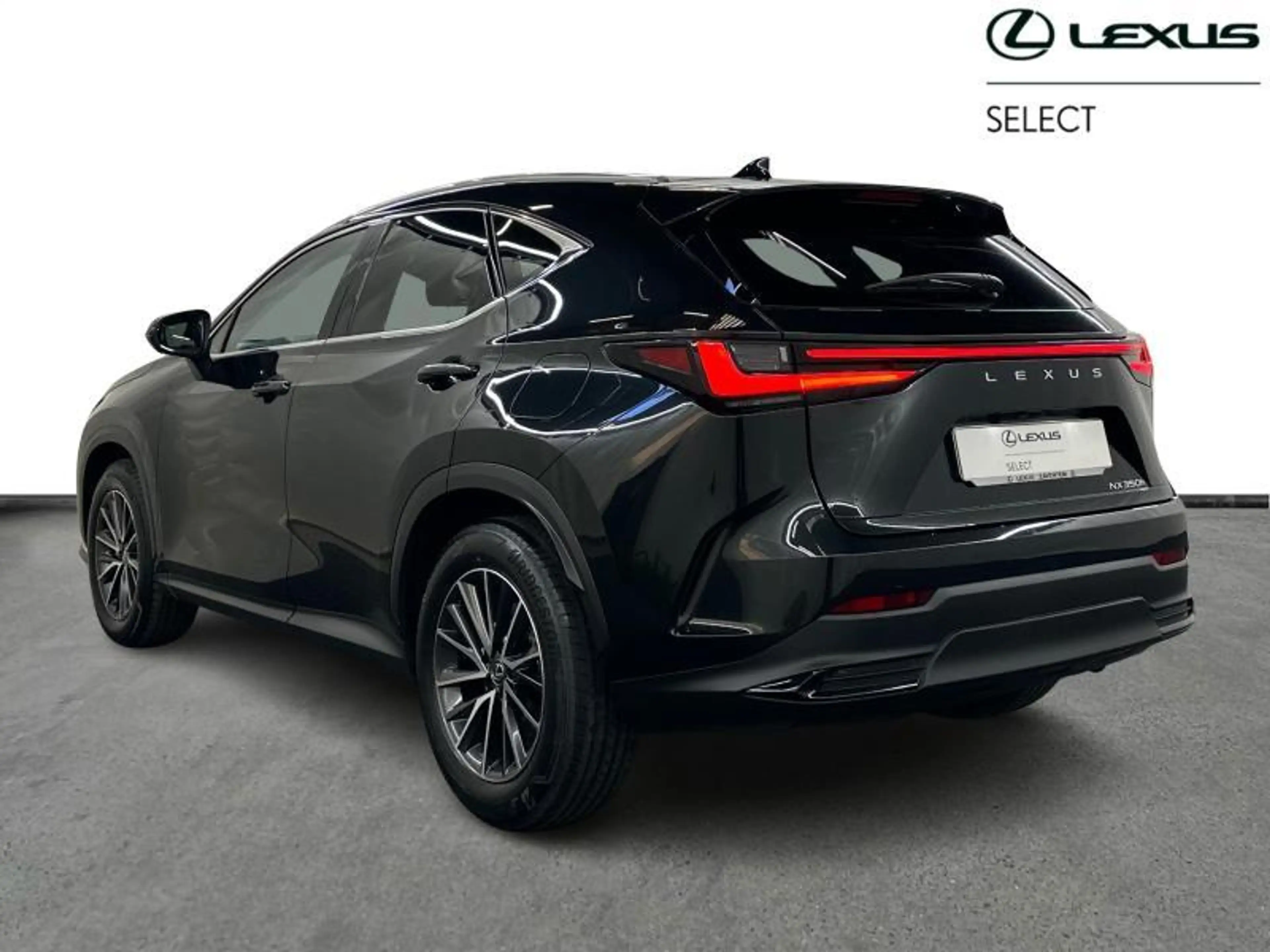 Lexus NX 350h Executive Line + HUD — photo 2