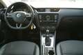 Skoda Octavia Combi Style 2.0 TDI AHK SHZ TEMPOMAT Gris - thumbnail 12