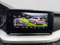 Skoda Octavia Combi 1.4 TSI iV STYLE NAVI SITZHZG TEIL Weiß - thumbnail 13