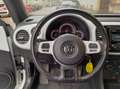 Volkswagen Maggiolino 1.6 tdi Design 105cv (VEDI NOTE) Wit - thumbnail 20