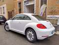 Volkswagen Maggiolino 1.6 tdi Design 105cv (VEDI NOTE) bijela - thumbnail 3