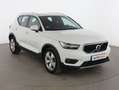Volvo XC40 D3 Business Plus AWD Aut. Blanco - thumbnail 8