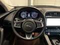 Jaguar F-Pace F-Pace AWD R-Sport Pano Stooelverw Trekh AppelCar Gris - thumbnail 20